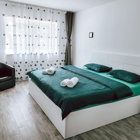 Cosy Apartment Fagaras Bagian luar foto
